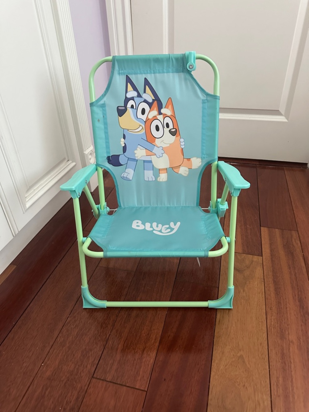 Bluey beach chair